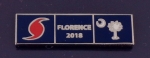 HURRICANE FLORENCE 2018 South Carolina SILVER Uniform Award/Commendation Bar pin
